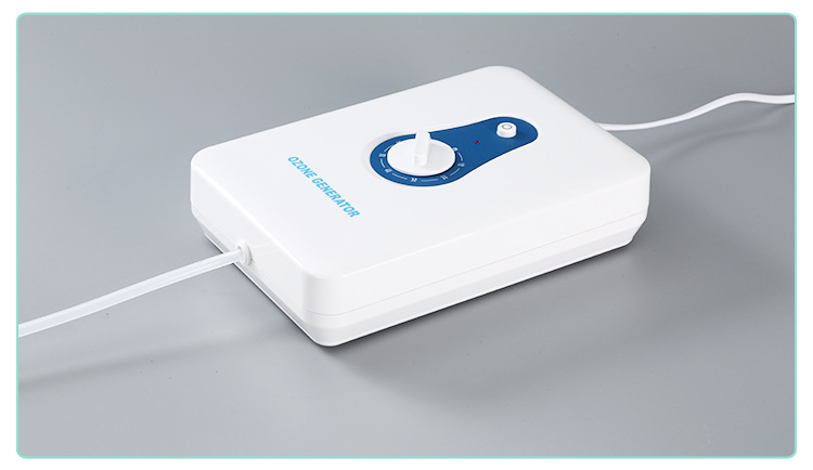and Vegetable Detoxification Machine Household Fruit Vegetable Cleaning Machine 600Mg Ozone Generator Air Purifier OEM