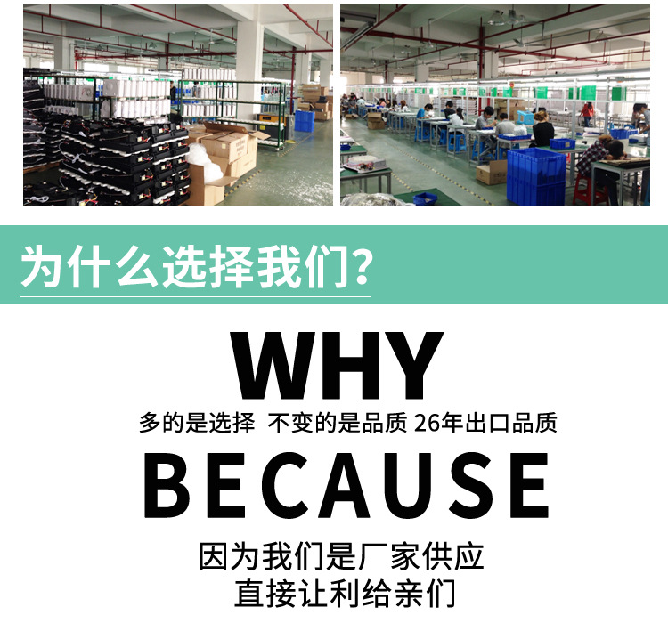 and Vegetable Detoxification Machine Household Fruit Vegetable Cleaning Machine 600Mg Ozone Generator Air Purifier OEM