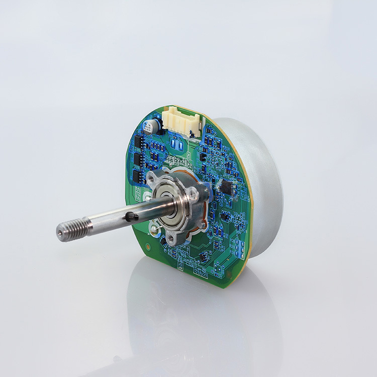 Foshan Variable Frequency DC Electric Fan Bl5542 DC Brushless Motor Outer Rotor Fan Household Fan Motor