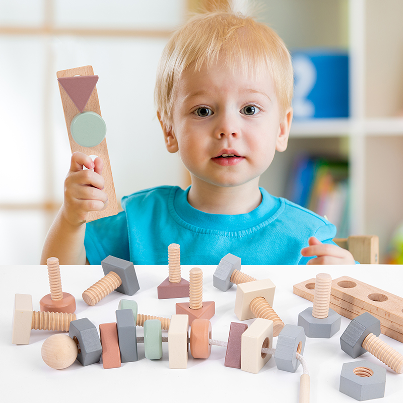 High-End Beech Children Screw Assembly and Disassembly Nut Building Blocks Shape Color Matching