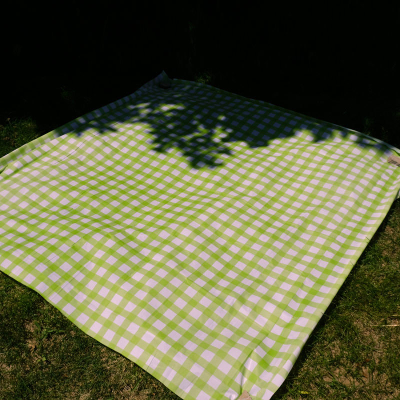 Disposable Outdoor Picnic Blanket Waterproof Thickened Plastic Outing Tablecloth Barbecue Camping Tablecloth Ins Style Picnic Mat