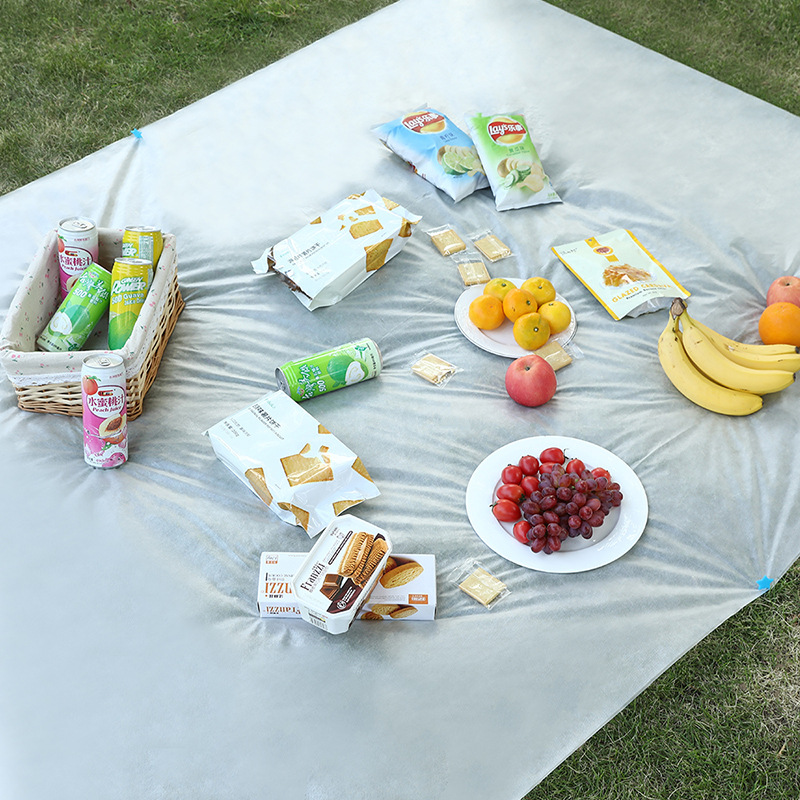 . Outdoor Picnic Mat Disposable Moisture-Proof Picnic Blanket Foldable and Portable Grassland Mat Non-Woven Fabric Beach Picnic Pad