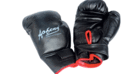 YT-9277 leather boxing gloves