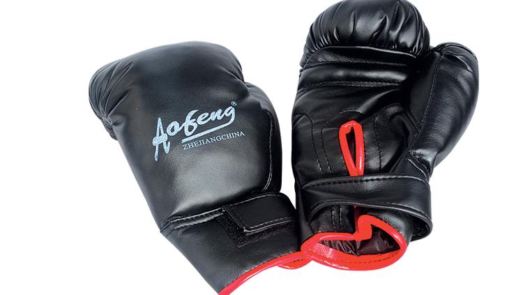 YT-9277 leather boxing gloves