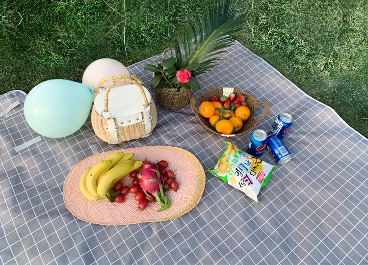 Factory Wholesale New Plaid Picnic Mat Ins Style Picnic Blanket Beach Mat Outdoor Mat Camping Waterproof and Moisture-Proof Liner