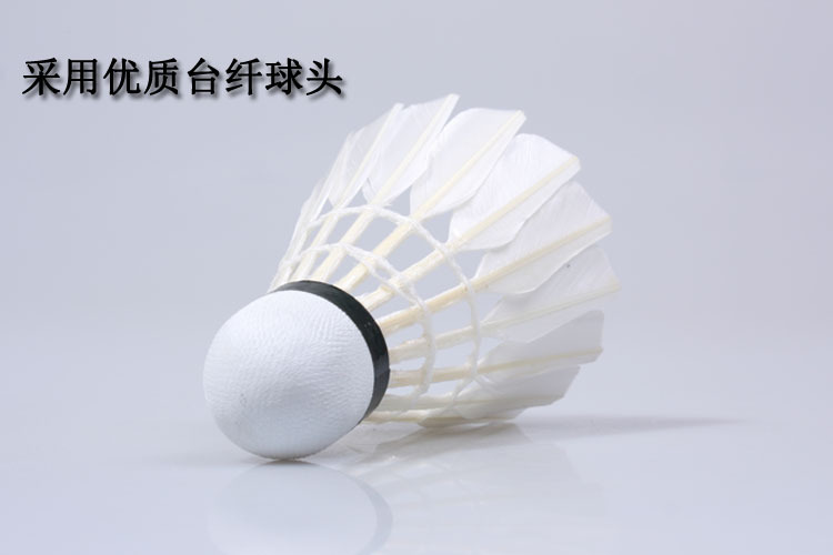 LEIJIAER 1006 training badminton amateur competition xiaojiao dao ling endurance fighting LEIJIAER 1006 training badminton amateur competition xiaojiao dao ling endurance fighting
