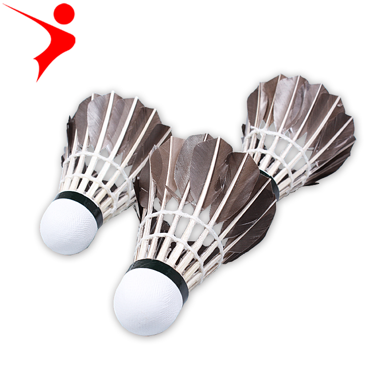 Regal, 1003 black training badminton, Taiwan fiber curved badminton, black duck feather badminton