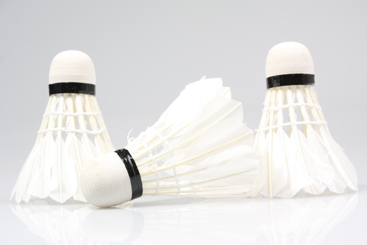 Foam head badminton new 3 training ball equipped with generous knife wing duck feather 603-3 Foam head badminton new 3 training ball equipped with generous knife wing duck feather 603-3