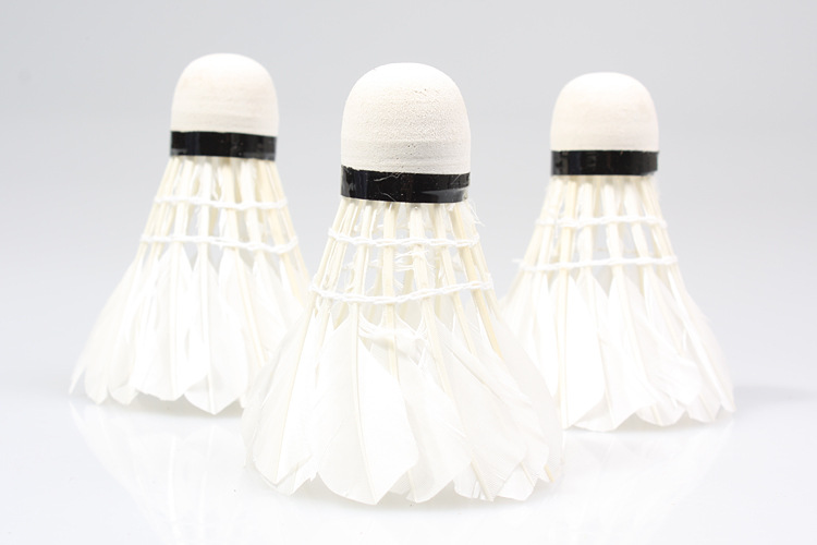 Foam head badminton new 3 training ball equipped with generous knife wing duck feather 603-3 Foam head badminton new 3 training ball equipped with generous knife wing duck feather 603-3