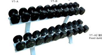 Fixed dumbbell gym bench set 10 rackmount gym set with 375 kg