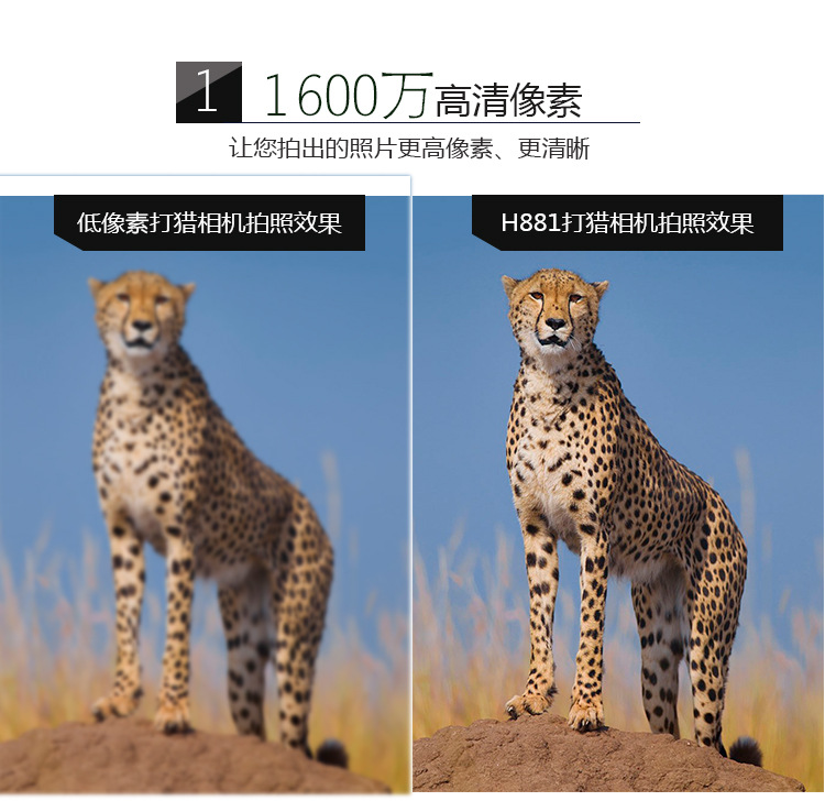 Popular Amazon Hunting Camera Infrared Surveillance Camera Outdoor HD Camera