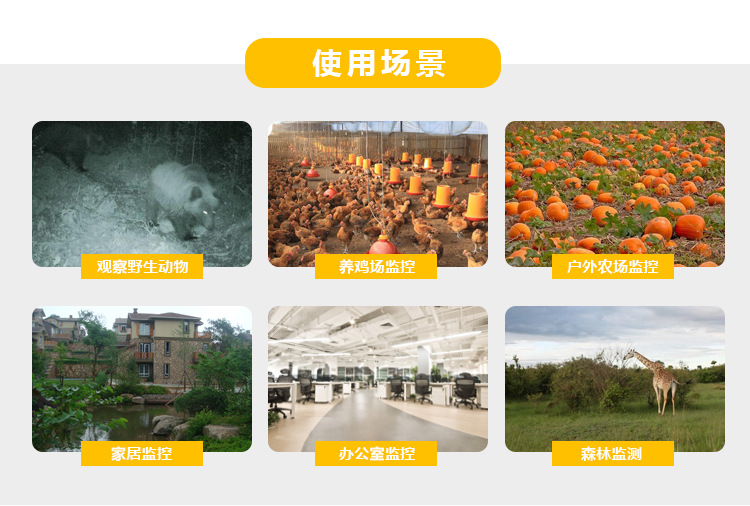 Popular Amazon Hunting Camera Infrared Surveillance Camera Outdoor HD Camera