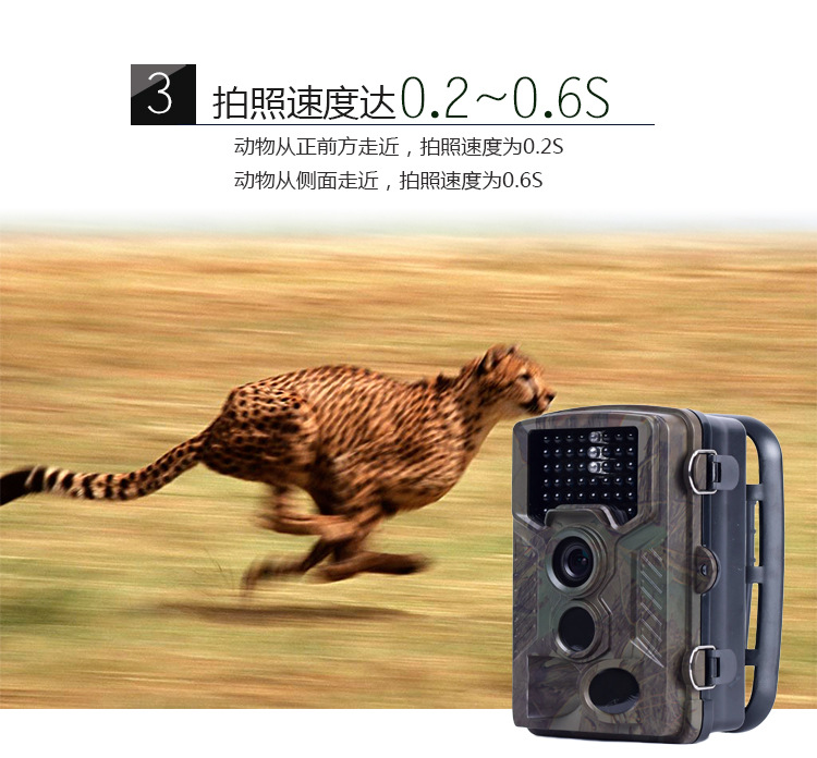 Popular Amazon Hunting Camera Infrared Surveillance Camera Outdoor HD Camera