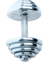Wholesale price plated threaded dumbbell bar