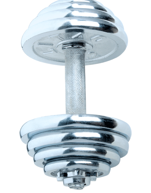Wholesale price plated threaded dumbbell bar