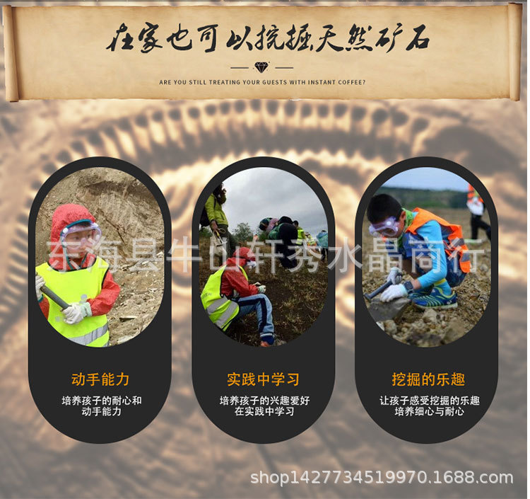 Archaeological Mining Toys Fossil Blind Box Children's Handmade DIY Digging Treasure Hunting Boys and Girls Natural Gem Ore Blind Box