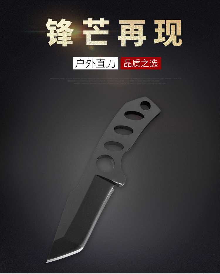 Mini Outdoor Survival Small Straight Knife Portable SelfDefense Knife Fruit Knife Stainless Steel Knife Necklace Knife B Mini Outdoor Survival Small Straight Knife Portable SelfDefense Knife Fruit Knife Stainless Steel Knife Necklace Knife B