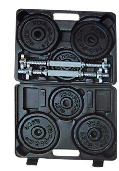 Painting dumbbell boxed