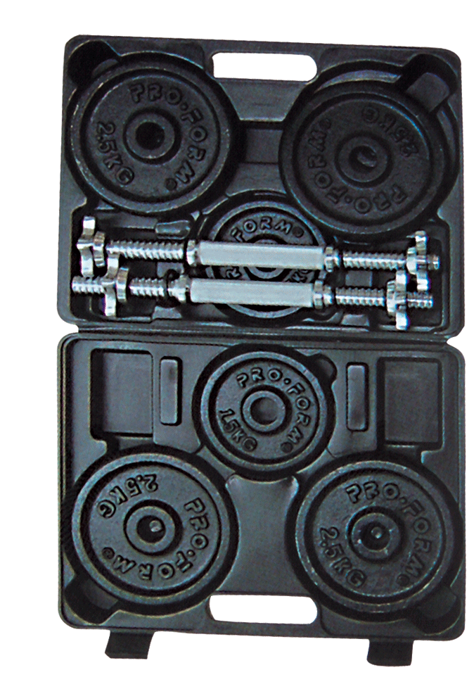 Painting dumbbell boxed