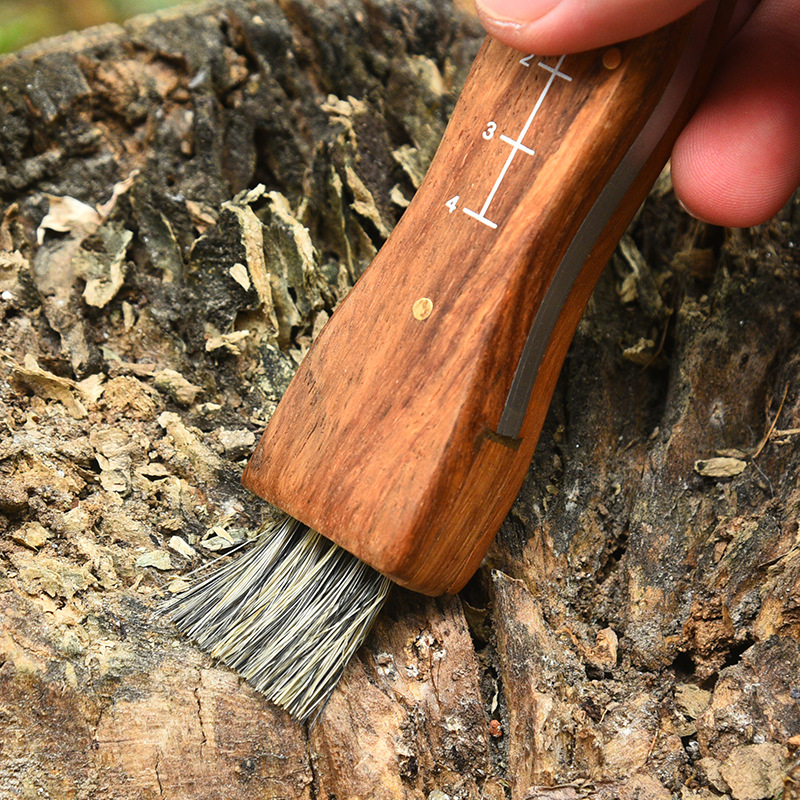 Rosewood Mushroom Knife Multifunctional Outdoor Knife Camping Knife Brush Outdoor Survival Folding Knife a Folding Knife