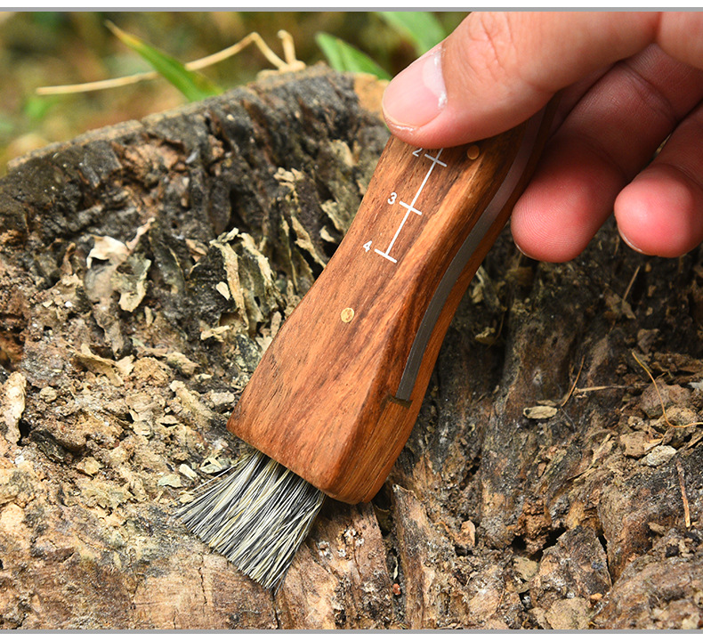 Rosewood Mushroom Knife Multifunctional Outdoor Knife Camping Knife Brush Outdoor Survival Folding Knife a Folding Knife