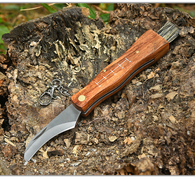 Rosewood Mushroom Knife Multifunctional Outdoor Knife Camping Knife Brush Outdoor Survival Folding Knife a Folding Knife