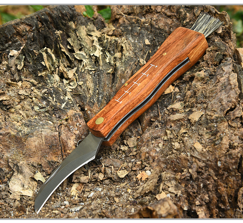 Rosewood Mushroom Knife Multifunctional Outdoor Knife Camping Knife Brush Outdoor Survival Folding Knife a Folding Knife
