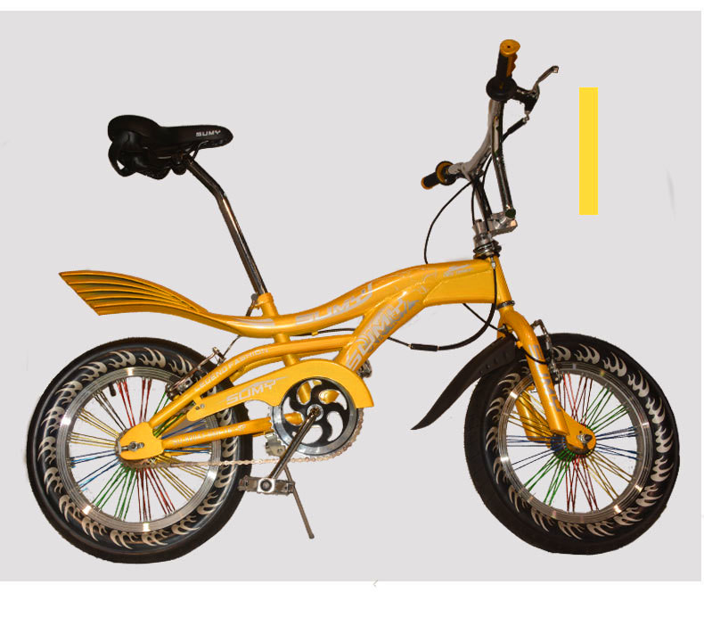Special performance car 24 inch leopard print acrobatic bicycle export dolphin tail