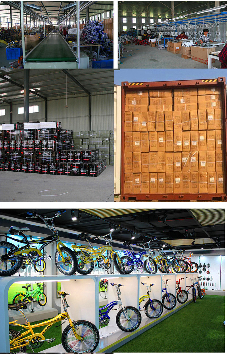 Special performance car 24 inch leopard print acrobatic bicycle export dolphin tail