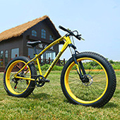Folding bicycle children's adult variable speed bike 20 Folding bicycle children's adult variable speed bike 20