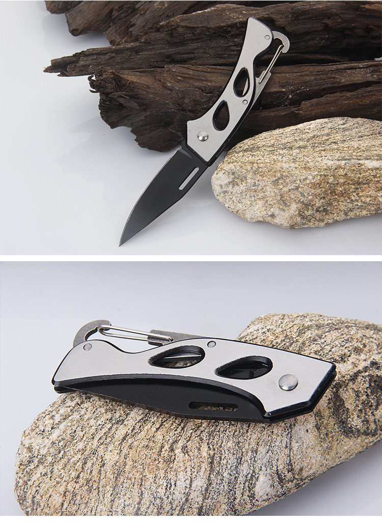 Stainless Steel Folding Knife Outdoor Survival Fruit Camping Knife Gift Knife SelfDefense a Folding Knife Mini Key Knife