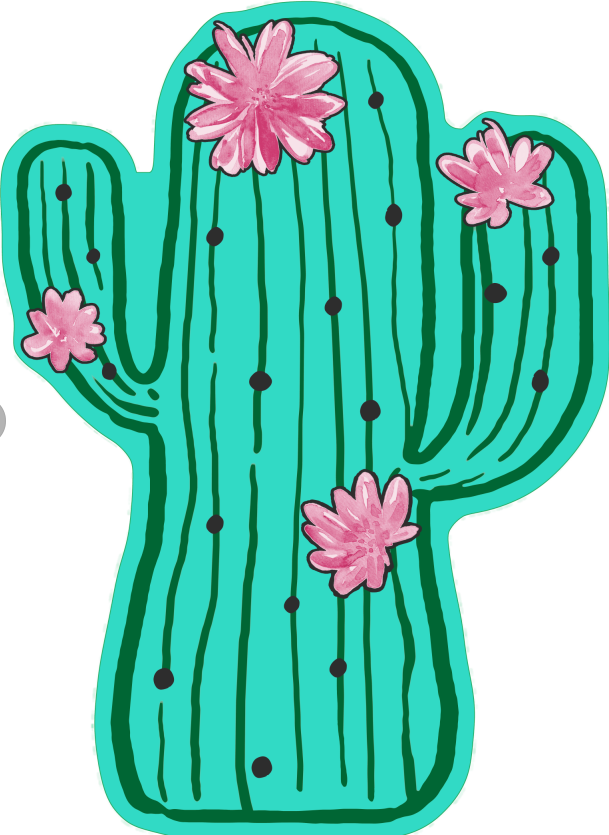 Super fine fiber absorbent dry beach towel - cactus &amp; pineapple.