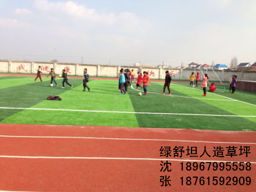 Football field lawn simulation plastic lawn special wholesale lawn