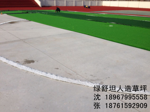 Football field lawn simulation plastic lawn special wholesale lawn