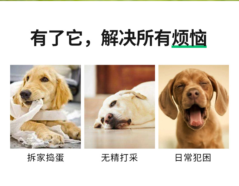 Factory Supply 19cm Diameter Pu Material Interactive Pet Dog Outdoor Toy Ball Pet Training Belt Rope Football Factory Supply 19cm Diameter Pu Material Interactive Pet Dog Outdoor Toy Ball Pet Training Belt Rope Football