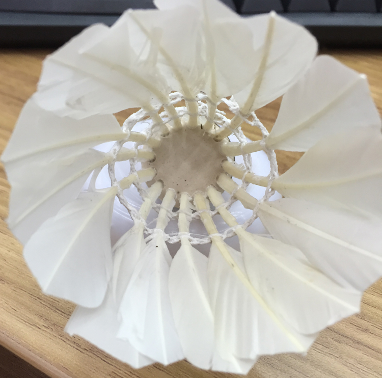 Pure natural feather badminton handball ball foreign trade color card packaging sales champion sports accessories