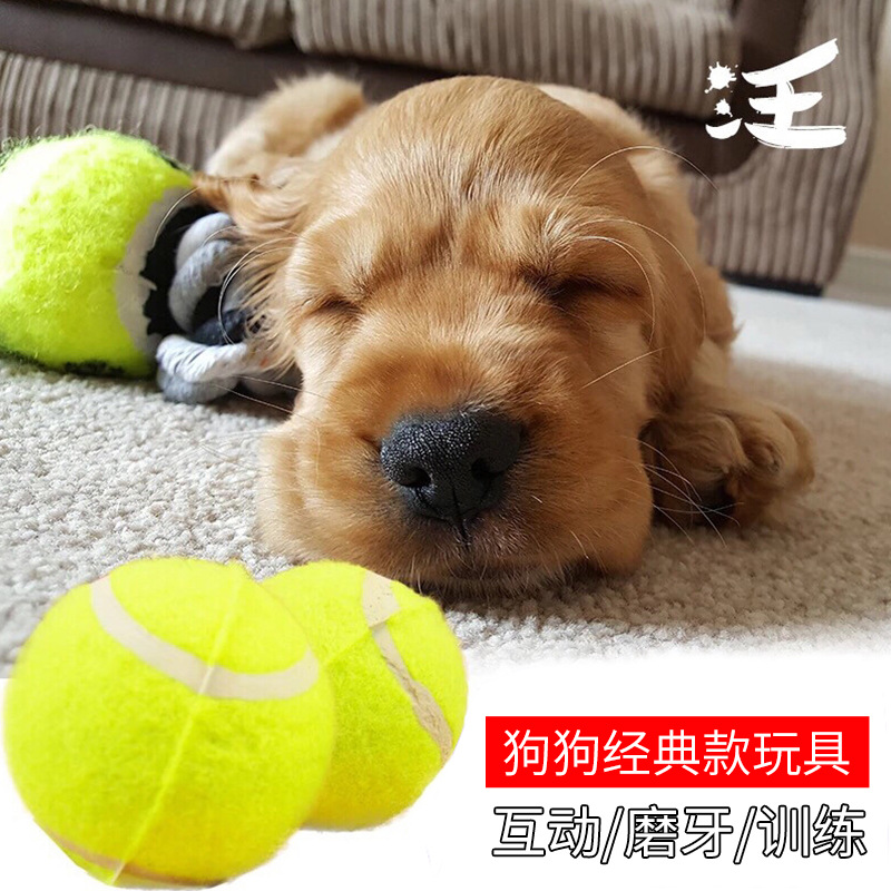Tennis Manufacturers Supply Chemical Fibers Tennis Training Pet Tennis Wholesale Pet Bite Practice Tennis