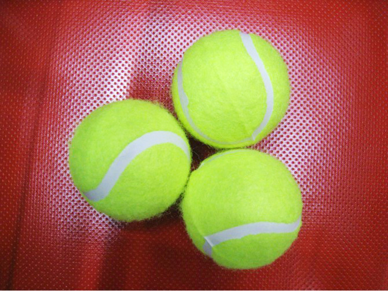 Factory Wholesale Elastic 50-60cm Pet Practice Training Tennis Level 2 Training Pet Tennis Wholesale