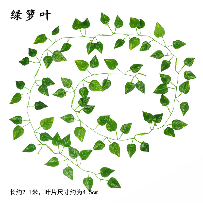 2 M Small Simulation Leaf Wholesale Green Leaves Simulation Ivy Leaves Vine Ivy Strip Artificial Green Leaf Leaves Vine Vine Artificial Flower 2 M Small Simulation Leaf Wholesale Green Leaves Simulation Ivy Leaves Vine Ivy Strip Artificial Green Leaf Leaves Vine Vine Artificial Flower