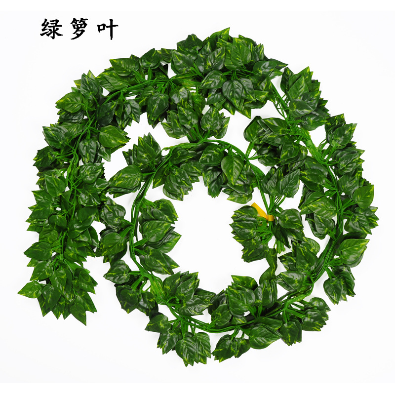 2 M Small Simulation Leaf Wholesale Green Leaves Simulation Ivy Leaves Vine Ivy Strip Artificial Green Leaf Leaves Vine Vine Artificial Flower 2 M Small Simulation Leaf Wholesale Green Leaves Simulation Ivy Leaves Vine Ivy Strip Artificial Green Leaf Leaves Vine Vine Artificial Flower