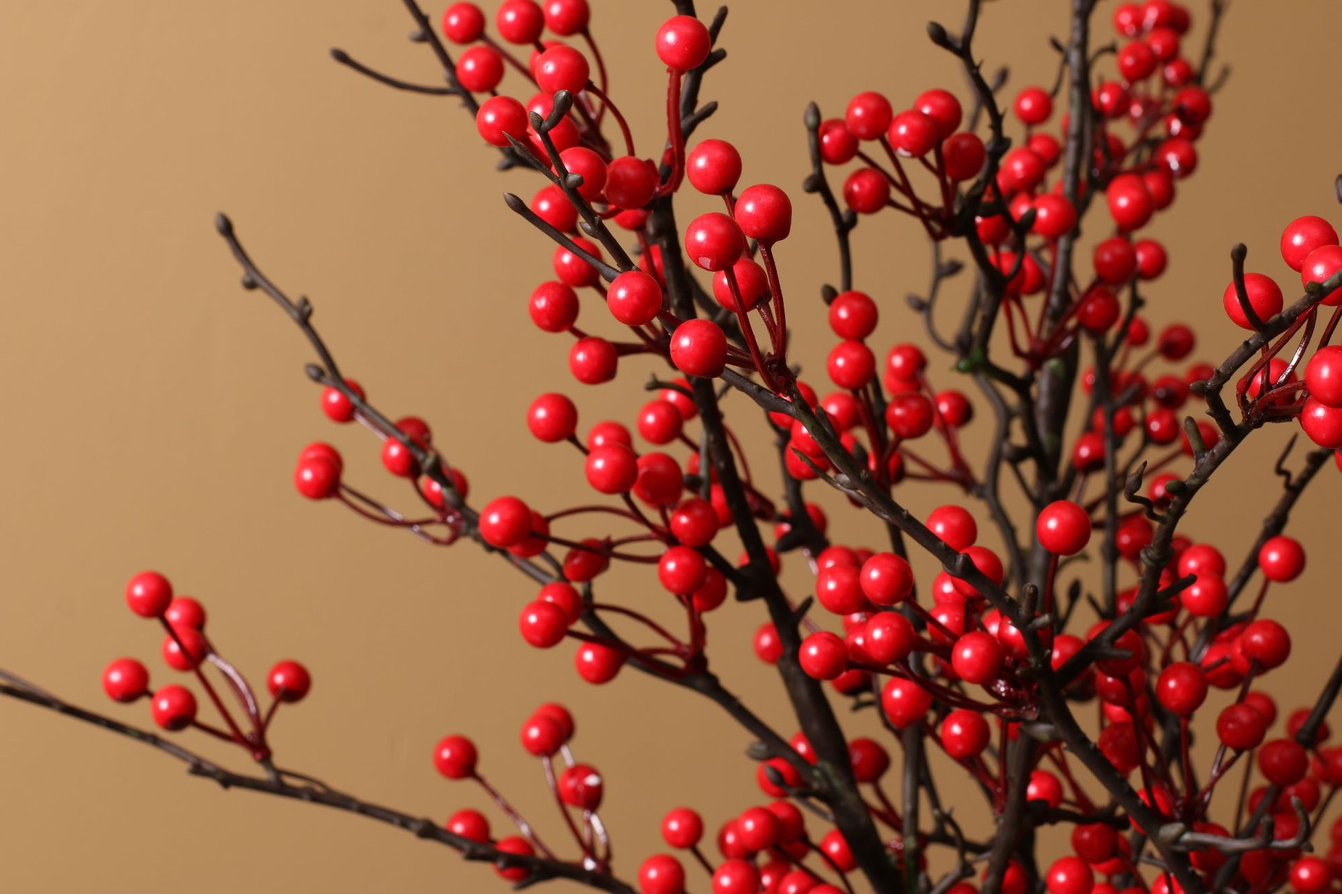 Simulation Berries European-Style Christmas Decoration Artificial Flower Artificial Plant Hollyberry Floor-Standing Decorations Artificial Artificial Flower Decoration Simulation Berries European-Style Christmas Decoration Artificial Flower Artificial Plant Hollyberry Floor-Standing Decorations Artificial Artificial Flower Decoration