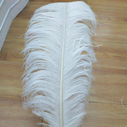 Factory in Stock 25-30cm Colorful Ostrich Feather Wedding Flower Arrangement Decoration DIY Ornament Accessories Variety Feather