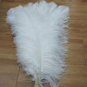 Factory in Stock 25-30cm Colorful Ostrich Feather Wedding Flower Arrangement Decoration DIY Ornament Accessories Variety Feather