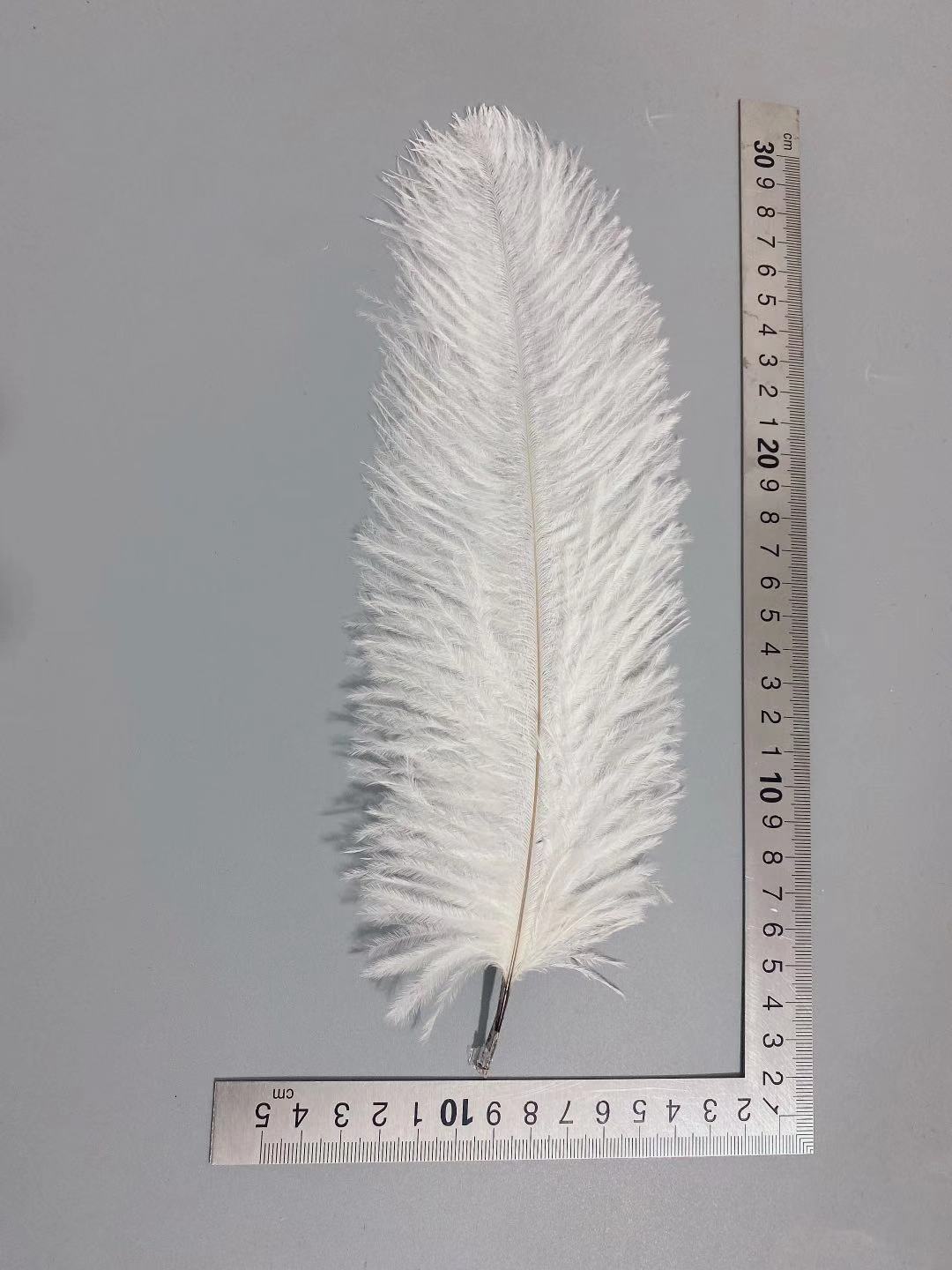 Factory in Stock 25-30cm Colorful Ostrich Feather Wedding Flower Arrangement Decoration DIY Ornament Accessories Variety Feather