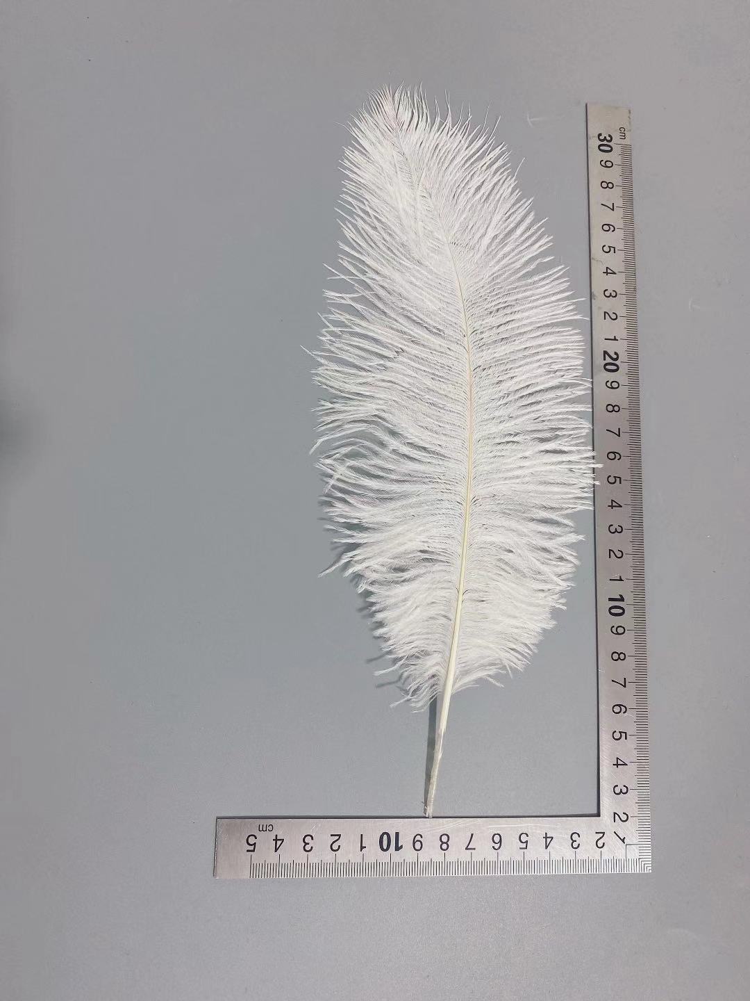 Factory in Stock 25-30cm Colorful Ostrich Feather Wedding Flower Arrangement Decoration DIY Ornament Accessories Variety Feather