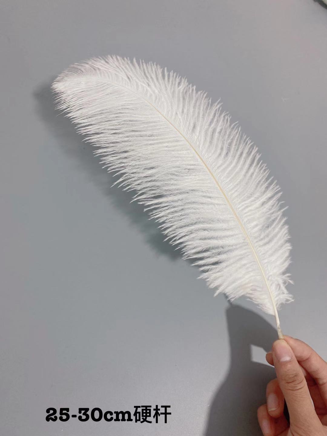 Factory in Stock 25-30cm Colorful Ostrich Feather Wedding Flower Arrangement Decoration DIY Ornament Accessories Variety Feather