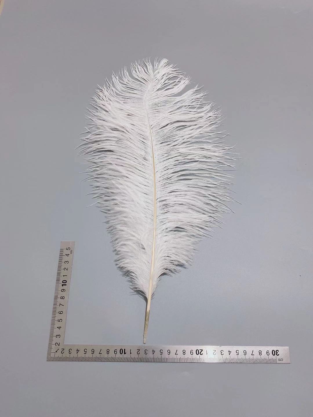 Factory in Stock 45-50cm White Ostrich Feather Wedding Flower Arrangement Feather Table Lamp Changeable Color Ostrich Feather Factory in Stock 45-50cm White Ostrich Feather Wedding Flower Arrangement Feather Table Lamp Changeable Color Ostrich Feather