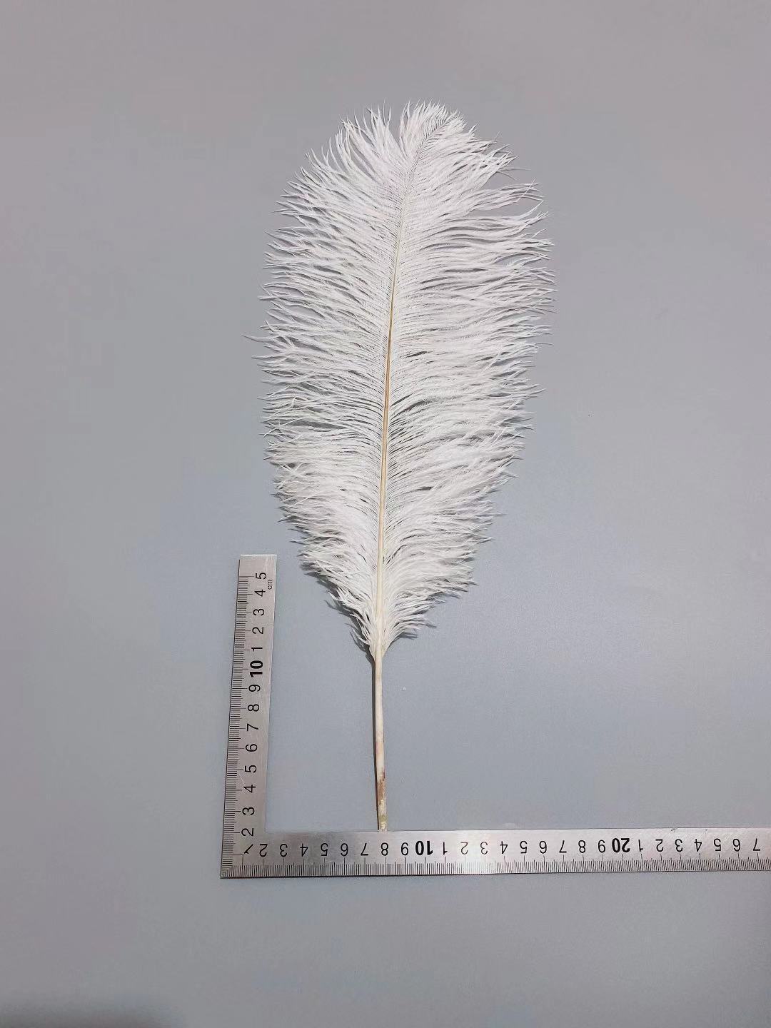 Factory in Stock 45-50cm White Ostrich Feather Wedding Flower Arrangement Feather Table Lamp Changeable Color Ostrich Feather Factory in Stock 45-50cm White Ostrich Feather Wedding Flower Arrangement Feather Table Lamp Changeable Color Ostrich Feather