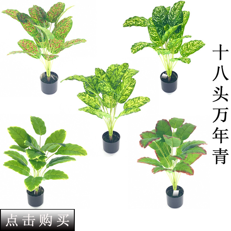 Imitate Leaves Simulation Colorful Su Wholesale Christmas Courtyard Decoration Engineering Wedding Flower Arrangement Green Plant Simulation Coleus