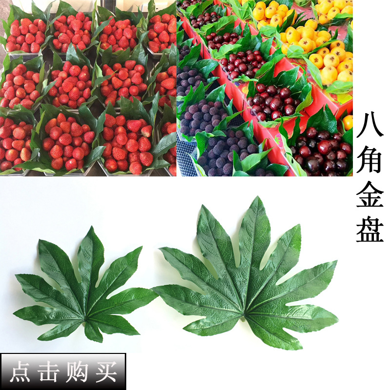 Imitate Leaves Simulation Colorful Su Wholesale Christmas Courtyard Decoration Engineering Wedding Flower Arrangement Green Plant Simulation Coleus